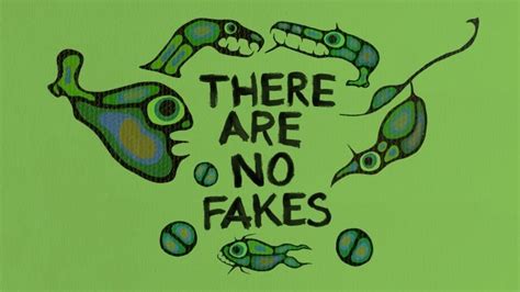 there are no fake